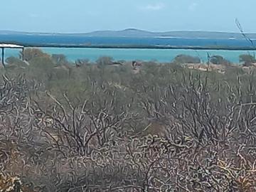 Terreno en venta en San Lucas, Mulegé, Baja California Sur