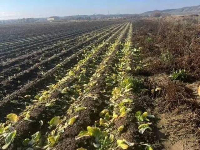 Terreno en Venta en San Martín de la Vega