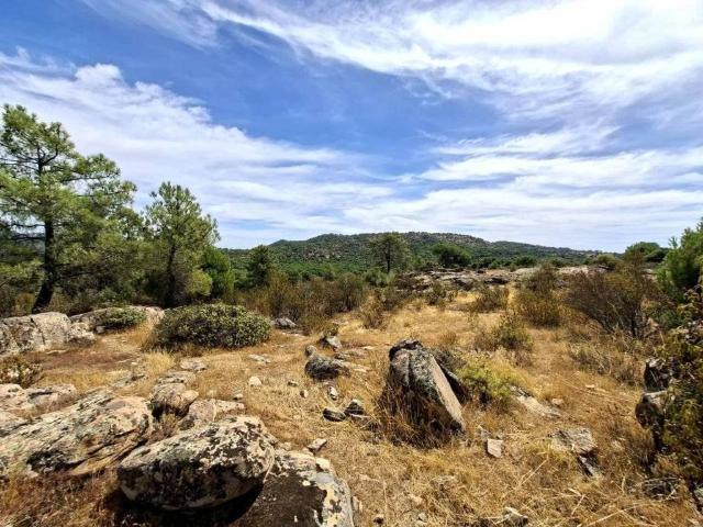 Terreno en Venta en San Martín de Valdeiglesias