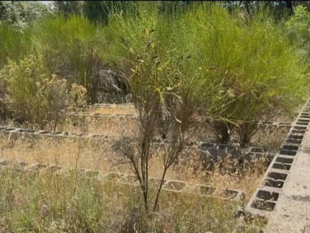 Terreno en Venta en San Martín de Valdeiglesias