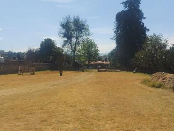 Terreno en venta en San Mateo Tezoquipan Miraflores, Chalco, Estado De México