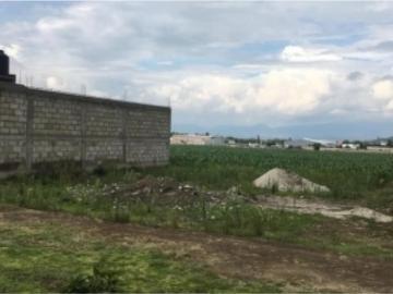 Terreno en venta en San Mateo Mexicaltzingo Centro, Mexicaltzingo, México