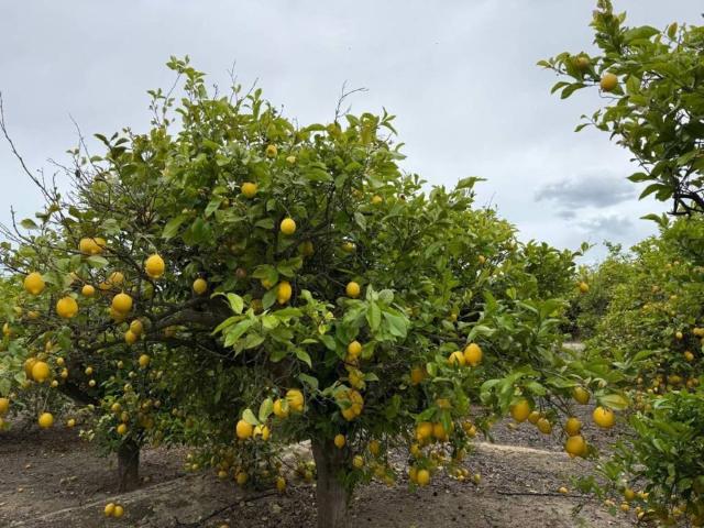 Terreno en Venta en San Miguel de Salinas