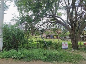 Terreno en San Nicolás de Ibarra, Chapala, Jalisco