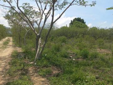Terreno en Venta en San Pablo Etla, Oaxaca
