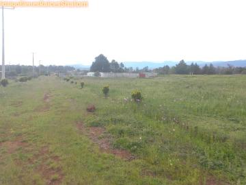 Terreno en venta en San Pablo Ojo de Agua, Huasca de Ocampo, Hidalgo