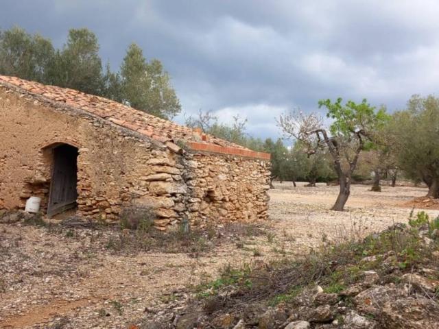 Terreno en Venta en San Rafael del Río