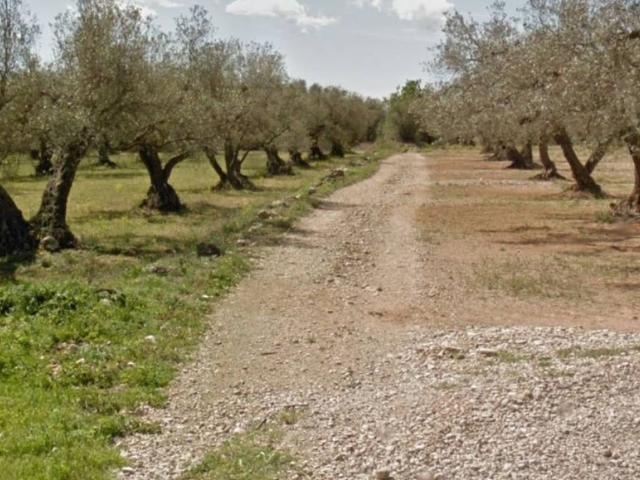 Terreno en Venta en San Rafael del Río