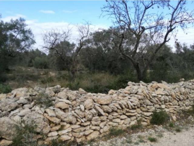 Terreno en Venta en San Rafael del Río