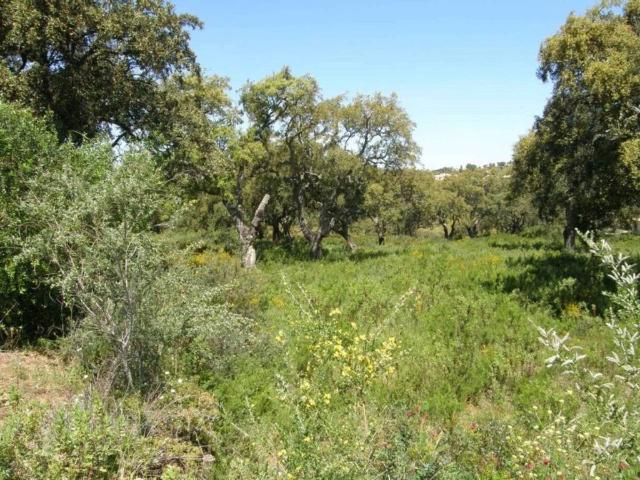 Terreno en Venta en San Roque