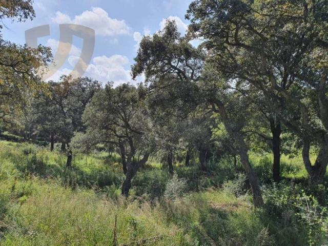 Terreno en Venta en San Roque