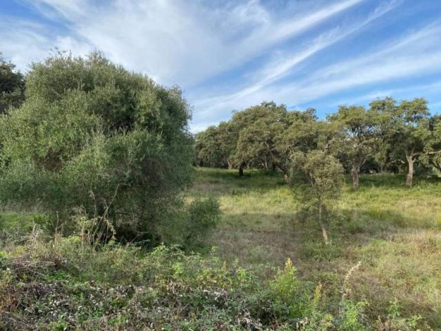 Terreno en Venta en San Roque