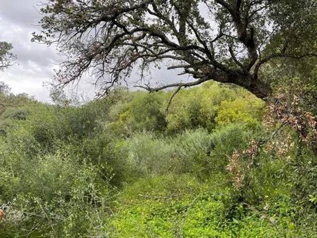 Terreno en Venta en San Roque
