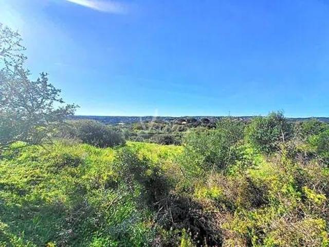 Terreno en Venta en San Roque