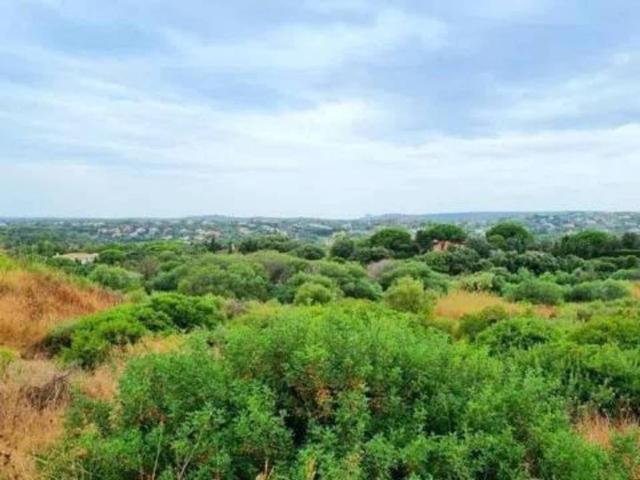 Terreno en Venta en San Roque