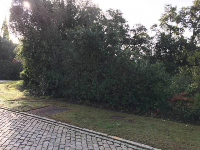 Terreno en Venta en San Roque