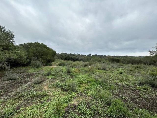 Terreno en Venta en San Roque