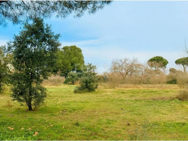 Terreno en Venta en San Sebastián de los Reyes
