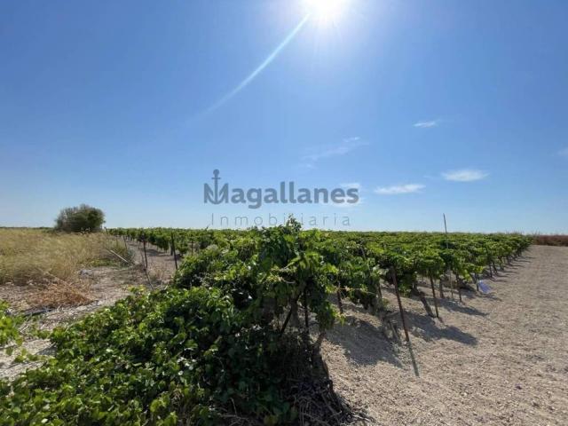 Terreno en Venta en Sanlúcar de Barrameda