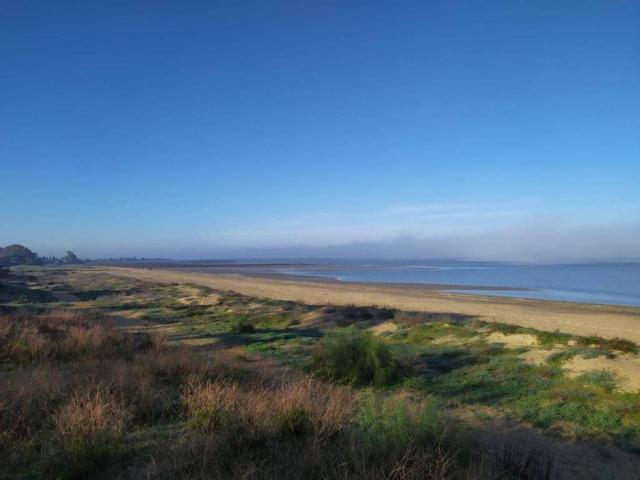 Terreno en Venta en Sanlúcar de Barrameda