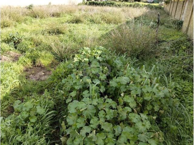 Terreno en Venta en Sanlúcar de Barrameda
