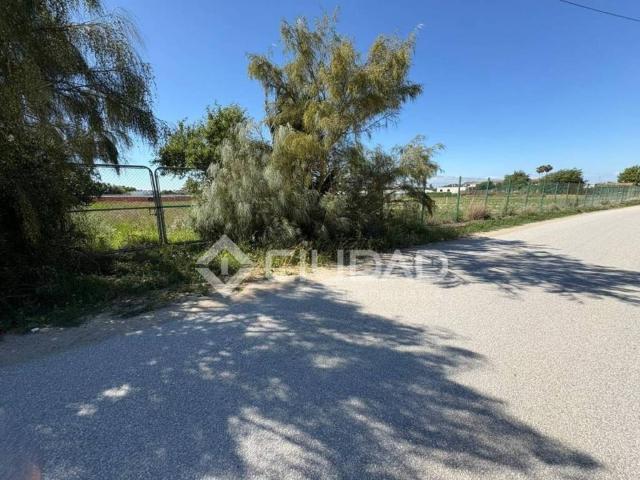 Terreno en Venta en Sanlúcar de Barrameda