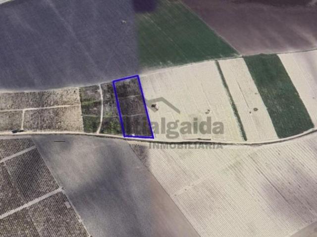 Terreno en venta en Sanlúcar de Barrameda, Ctra Jerez Ctra del Puerto