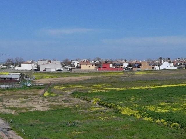 Terreno en venta en Sanlúcar de Barrameda, Las Palmeras