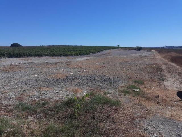 Terreno en venta en Sanlúcar de Barrameda, Los naranjos