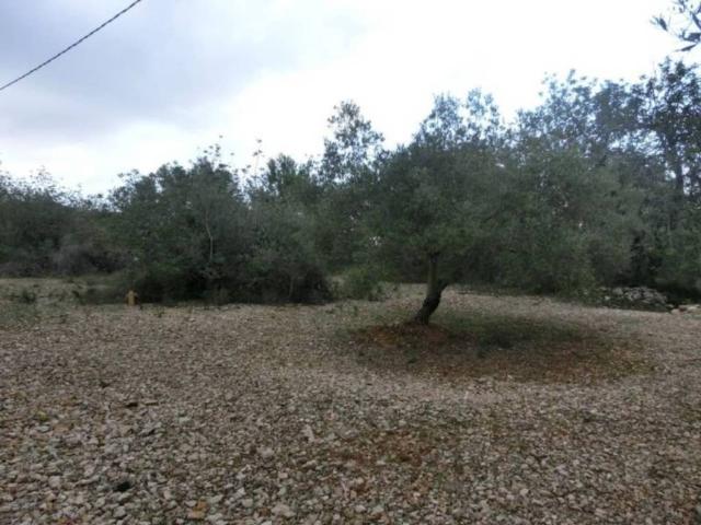 Terreno en Venta en Sant Carles de la Ràpita