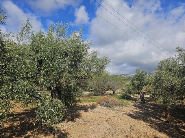 Terreno en Venta en Sant Carles de la Ràpita