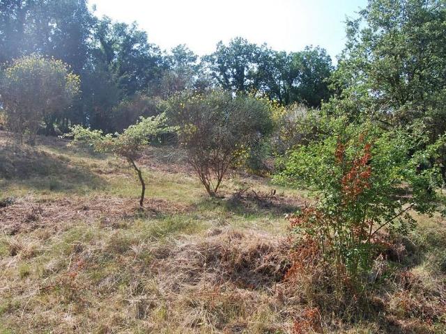 Terreno en venta en Sant Celoni, de 2.323 m² por 60.000