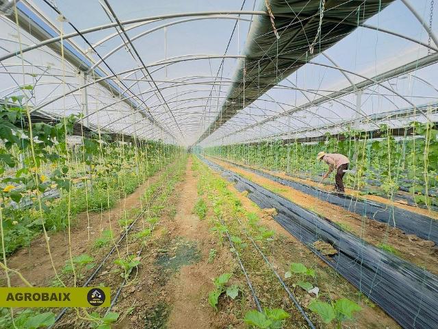 Terreno en venta en Sant Boi de Llobregat, de 22.000 m² por 699.000
