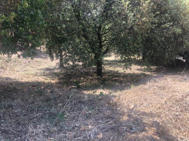 Terreno en venta en Sant Fost de Campsentelles, Mas Llombart