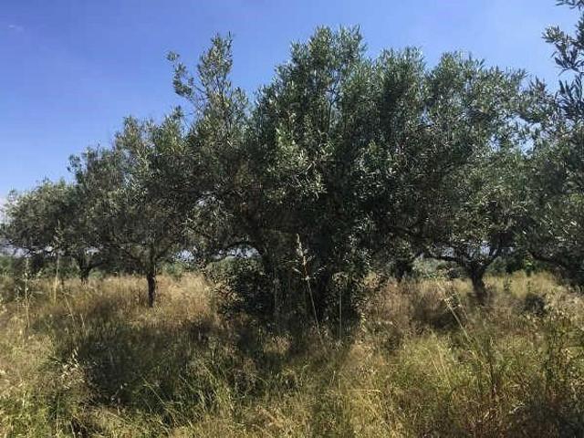 Terreno en venta en Sant Joan de Mollet, de 2.084 m² por 150.000