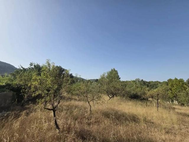 Terreno en Venta en Sant Joan de Moró