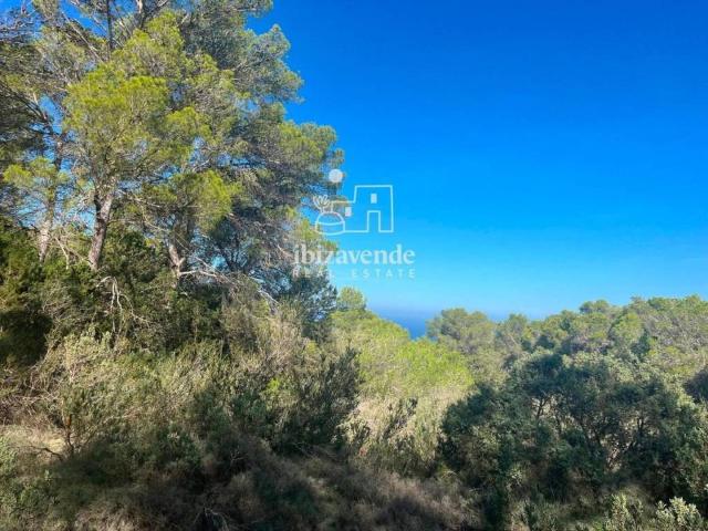 Terreno en Venta en Sant Josep de sa Talaia