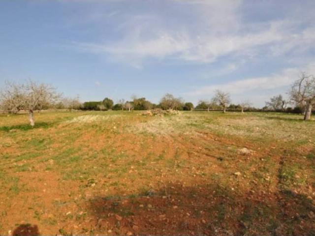 Terreno en Venta en Sant Llorenç des Cardassar