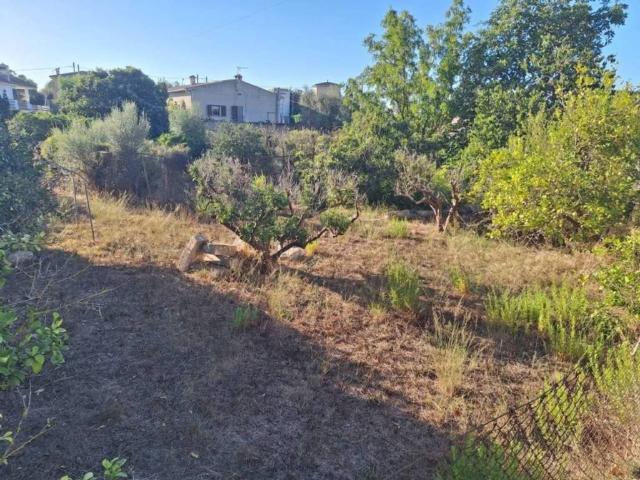 Terreno en Venta en Sant Llorenç des Cardassar
