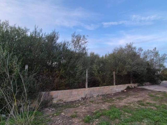 Terreno en Venta en Sant Llorenç des Cardassar