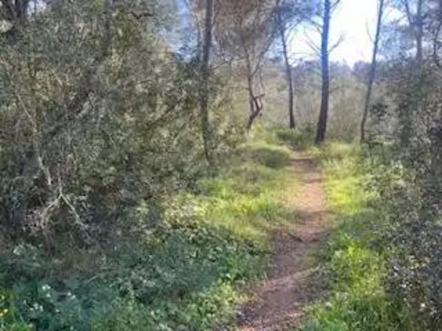 Terreno en Venta en Sant Llorenç des Cardassar