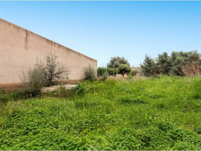 Terreno en Venta en Sant Llorenç des Cardassar