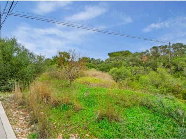 Terreno en Venta en Sant Llorenç des Cardassar