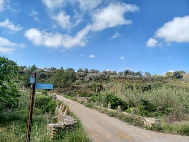 Terreno en Venta en Sant Mateu