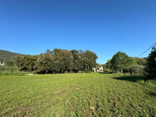 Terreno en Venta en Sant Martí de Llémena