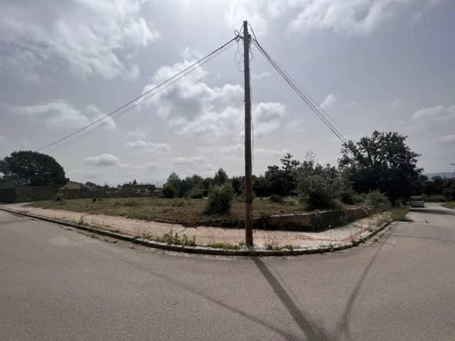 Terreno en Venta en Sant Pere de Vilamajor