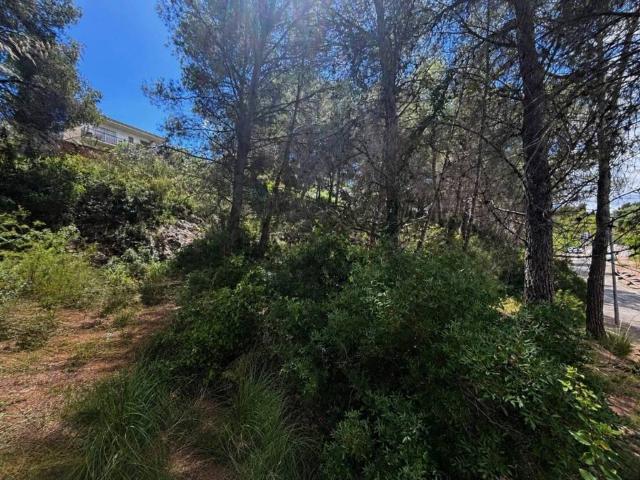 Terreno en Venta en Sant Pere de Ribes