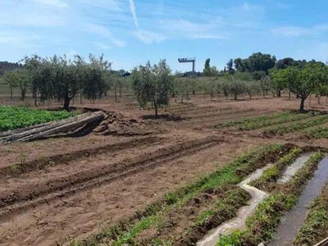 Terreno en Venta en Sant Pere de Riudebitlles
