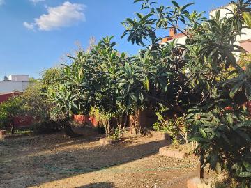 Terreno en Venta en Santa Mar?a de Guido a unos pasos de la Plaza Principal
