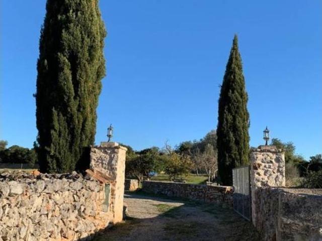 Terreno en Venta en Santa Margalida